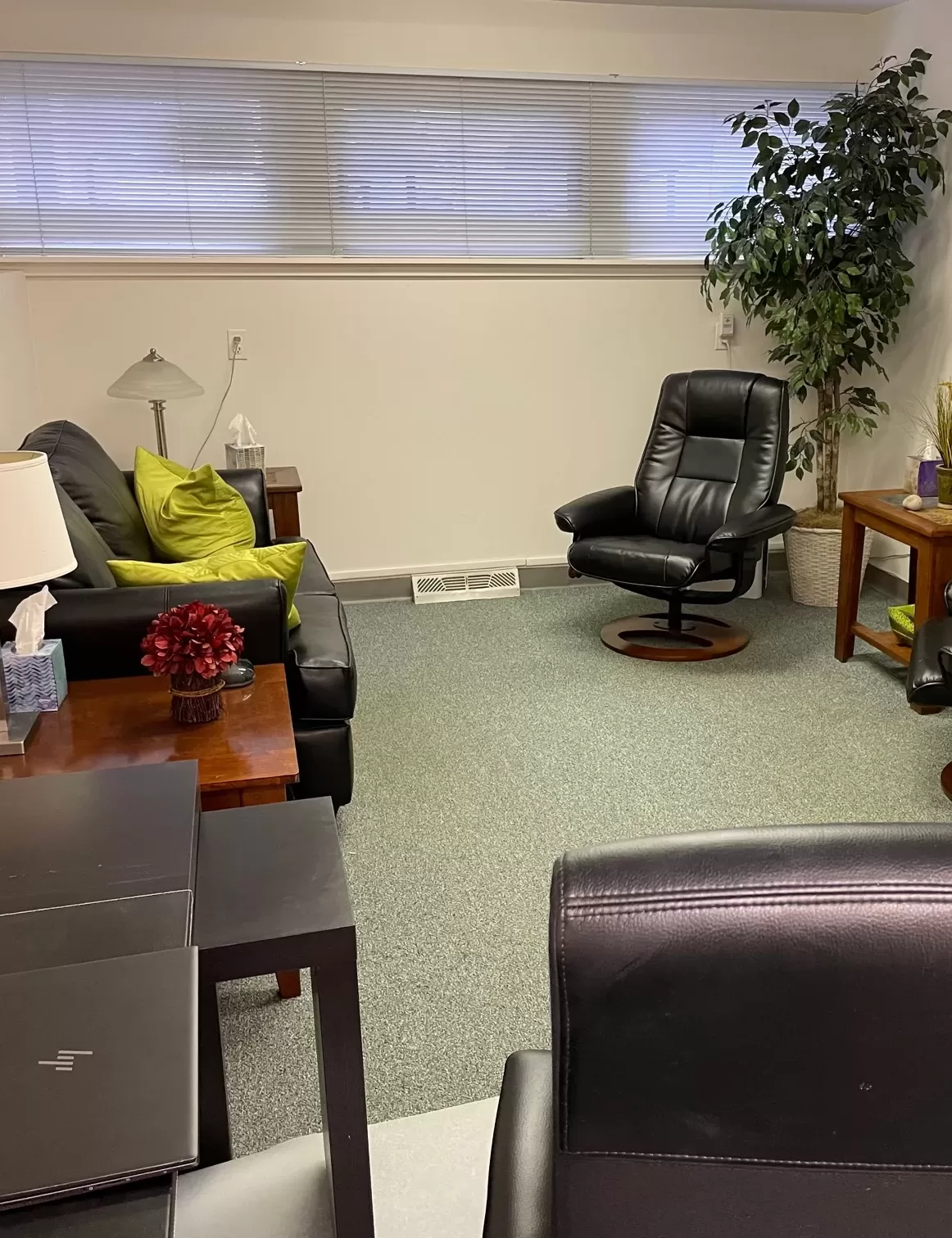 Individual Therapy Office