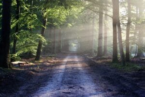 sunlight path | Dr. Alan Jacobson, Psy.D., MBA, Clinical Psychologist Adult Family Therapy
