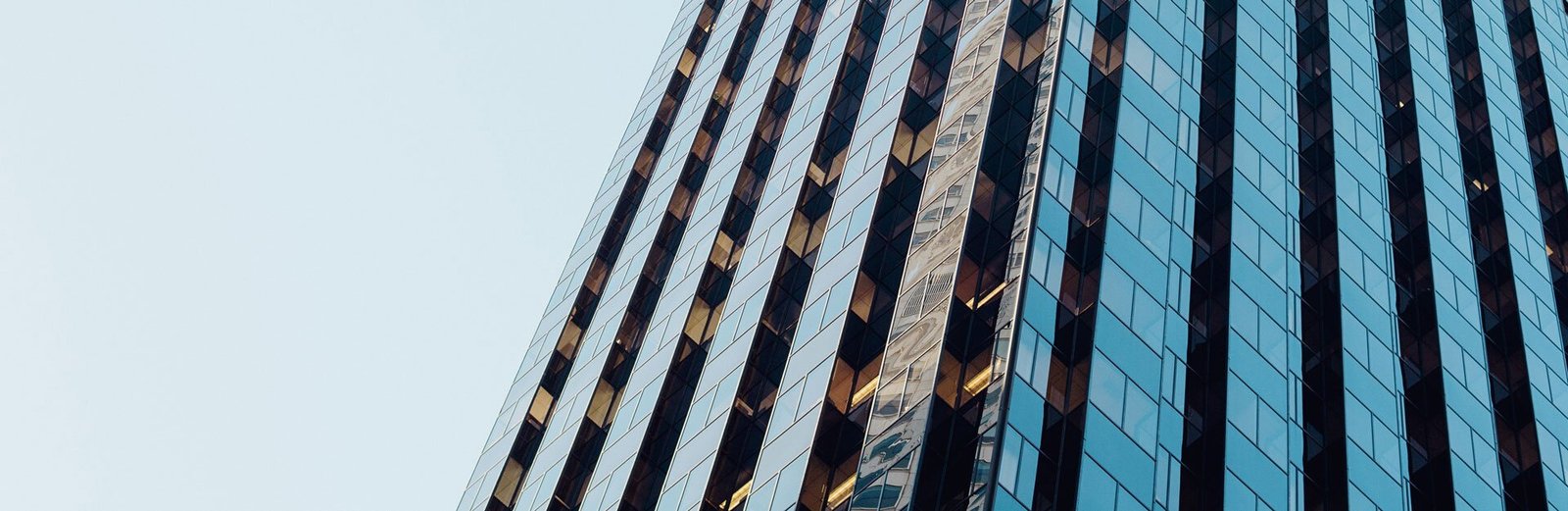 Advisory Services for Startups